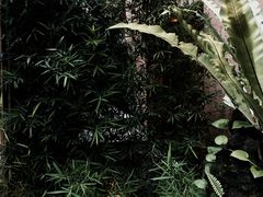 -天水蔬食料理(树德之光店)