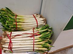 -福宝漠北·专注牛羊肉19年·西北菜(双湖林语店)