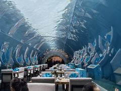 -涛·海底餐厅·美人鱼·自助餐·海底隧道(三亚海棠湾洲际度假酒店)