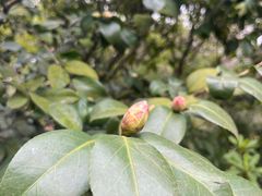 -呼吸森林·生态农庄农家乐私房菜