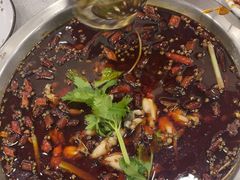 -老表牌·蛙蛙鸡冷锅鱼(成都东站店)