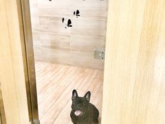 -Double Rui宠物酒店