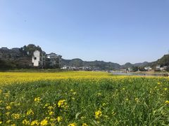 -新安江山水画廊风景区