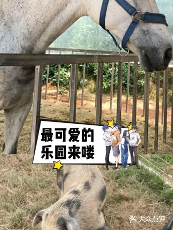 夏日游玩——阿菠萝小猪王国