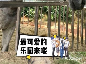 夏日游玩——阿菠萝小猪王国