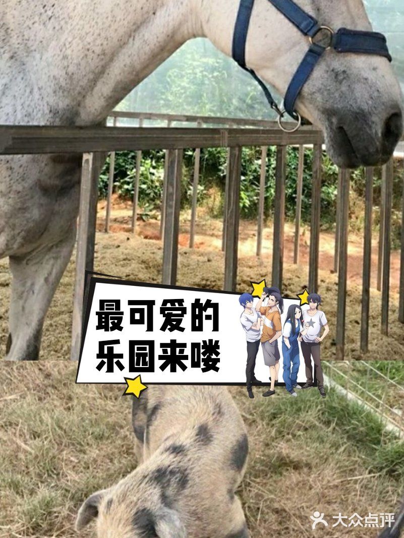 夏日游玩——阿菠萝小猪王国