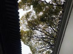 -绮园景区