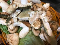 -易门野生菌府·菌海森林(月牙潭公园店)