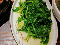 -陈麻婆豆腐(旗舰店)