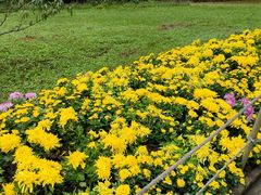 -庐山风景区花径公园