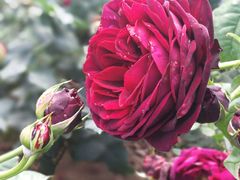 -人民公园(罗湖区)