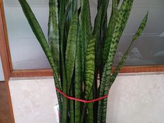 -乐汤汇温泉生活馆