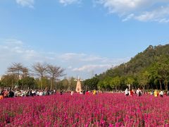 -顺峰山公园