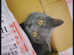 -方快-照相馆(莘庄沁春路店)