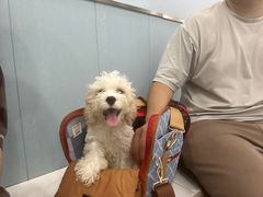 -纳吉亚猫专科动物诊疗中心(蒋宅口分院)