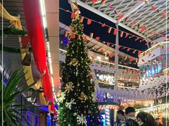 -Paulaner·德国帕拉娜自酿啤酒餐厅(海上世界店)