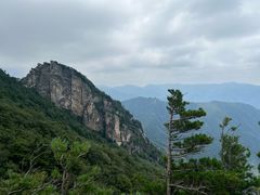 -牛背梁国家森林公园