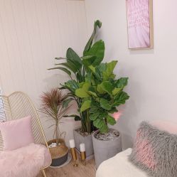 -Hi Beauty Skin 科技美肤中心