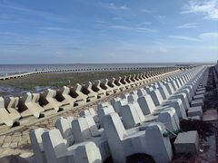 -南汇嘴观海公园
