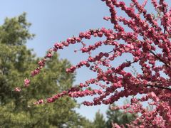 景点-朝阳公园