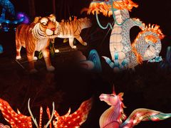 -欢乐海岸椰林沙滩-2025湾区超级灯会
