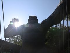 -古龙峡云天玻霸