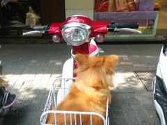 -熙盛源(凤凰街店)