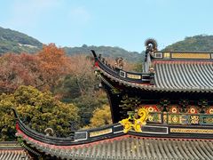 -普陀山风景名胜区-法雨禅寺