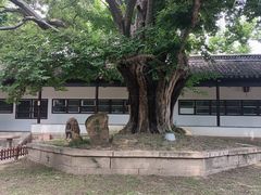 -苏州文庙(姑苏区)