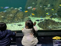 -江和美海洋公园