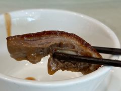 -椿记烧鹅(叠彩店)