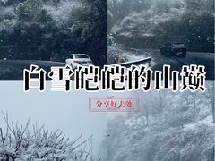 -四明山国家森林公园