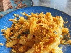 -Hi City·城市之巅