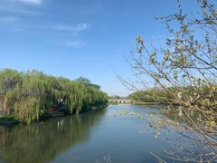 -溱湖国家湿地公园