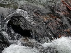 -广州白江湖森林公园