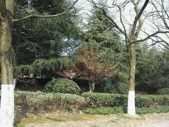 -白塘生态植物园