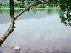 -西昌邛海湿地
