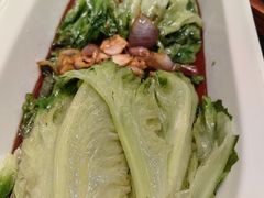 罗马生菜-新乾隆酒楼(帝景园店)
