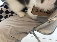 -怪兽屋·羊驼·猫咖·狗咖(俊华广场店)