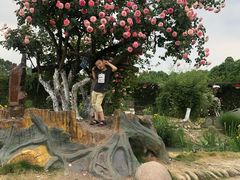 -都江堰玫瑰花溪谷