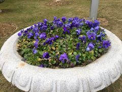 -艾溪湖湿地公园