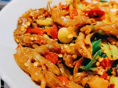 鸭掌筋-壹盏灯(惠农店)