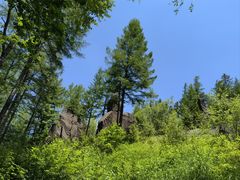 -峡谷浮石林景区