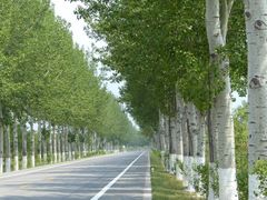 -乌龙峡谷景区