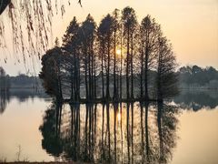 -尚湖风景区