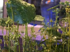 -明月山天沐温泉度假村