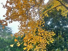 -西郊宾馆·1921餐厅