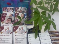 -雅悦齿科(顾村公园店)