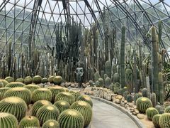 -深圳仙湖植物园