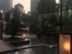 -丽晶轩中餐厅(重庆丽晶酒店)